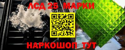 гашик Аргун