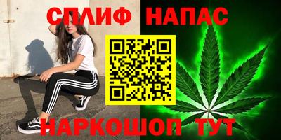 гашик Аргун