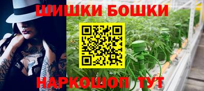 гашик Аргун